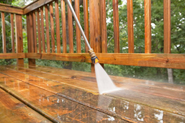 Best Affordable Power Washing  in Pulaski, VA